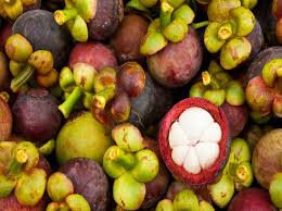 Check spelling or type a new query. Countries With Most Exotic And Rare Fruits In The World Triphobo