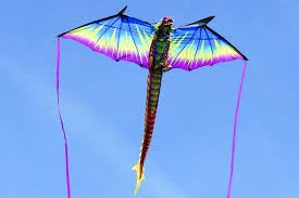 Drachen kuschler is on facebook. 3d Drachen R2f