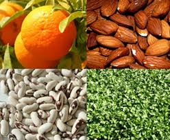 Passage en revue des aliments riches en calcium et de ses alliés. Les Sources De Calcium Vegetal Le Calcium Sans Lait Sante Nutrition