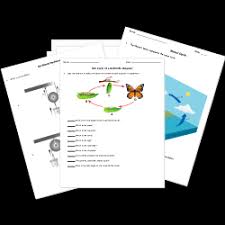 Earth processes, weather, animals and life cycles, plants, vegetable, plant life cycles, change of state of matter, heat flow, mammals, vertebrates & invertebrates, fish, reptiles, classification, rocks and minerals,. Free Elementary Science Worksheets And Printables Kindergarten Through Grade 5