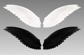 Wings Images Free Vectors Stock Photos Psd