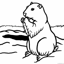 « back ♥ print this marmot color page animal coloring pages gallery ». Groundhog Coloring Pages Groundhog Day Clipart Printable Coloring4free Coloring4free Com
