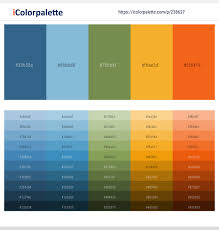 Like other pale and pastel blues, it evokes springtime connotations. 5 Latest Color Schemes With Light Blue And Orange Color Tone Combinations 2021 Icolorpalette