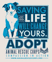 Arc Adopt A Dog Poster By Lucie Rice Dog Poster Dog Adoption Quotes Dog Adoption