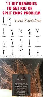 Pin On Herbal Natural Remedies