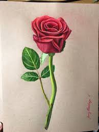 Original Rose Drawing Flower Art Rose Art Valentines Gift Etsy Flower Drawing Flower Art Rose Drawing