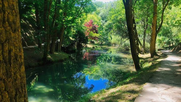 NACIMIENTO DEL RÍO EBRO (Fontibre) - Qué SABER antes de ir