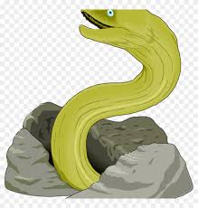 All kids love to color! Eel Clipart Eel Clip Art Free Clipart Panda Free Clipart Moray Eel Cartoon Free Transparent Png Clipart Images Download