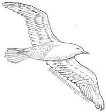 The overlapping arch and fluted detailing is found both in the pressed glass bowls and the die cast aluminum fitters. Popular Bird Drawings Bird Drawings Flying Bird Drawing Drawings