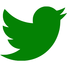 On this page, you can also find other social media icons and logos you may need. Green Twitter Icon Free Green Social Icons