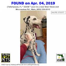 We did not find results for: Craigslist Lakeland Pets