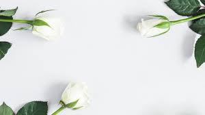 The ftd® white kalanchoe from $34.99. Shop Sympathy Delivery Ftd