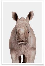 The power of rhino and grasshopper in the autodesk revit® environment. Rhino Poster Juniqe