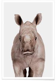 Rhino supports both 3d digitizing hardware and 3d scanned point cloud data. Rhino Poster Juniqe