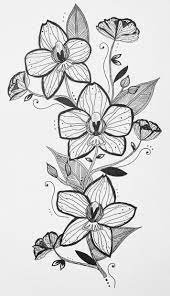 Pin On Horizonillustrations