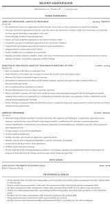 assistant professor resume sample