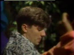 Salute Your Shorts (1991)