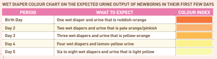 Memorable Baby Pee Color Chart 2019