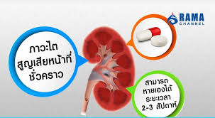 ภาวะไตวายเฉียบพลันในผู้ป่วย icu เกือบทั้งหมดเกิดจากปัจจัยหลายอย่างร่วมกัน ได้แก่ hypovolemia, sepsis, low cardiac output states, nephrotoxic agents เป็นต้น กลไกการ. Facebook