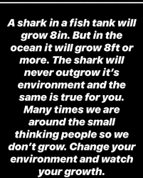 Checkyourself Surroundyourselfwithgoodpeople Birdsofafeatherflocktogether Opportunity Grow Mindset Kmf2success Zig Ziglar Quotes Quotes To Live By Words