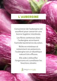 Fruits Et Legumes L Aubergine Bienfaits Alimentation Saine Et Equilibree Alimentation Saine Et Equilibree Alimentation Saine Alimentation Et Sante