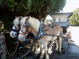 See tripadvisor's 21,521 traveler reviews and photos of lexington tourist attractions. Lexington Va Vmi Washington Lee And Civil War Dino S Getaway Mavens