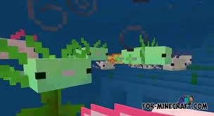 It's concept is based on minecraft axolotls were you can carry them . Axolotl Addon V1 2 For Minecraft Pe 1 16
