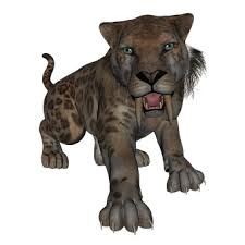 Although the saber tooth might impale himself if he tried to pounce. 3 Free Saber Tooth Cat Sabertooth Images