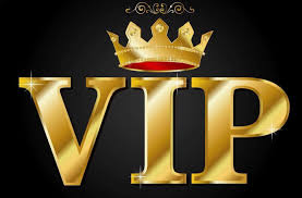 Godaddy Discounts Vip Domain Price Just 4 99 Lowest Rate Spring Coupon