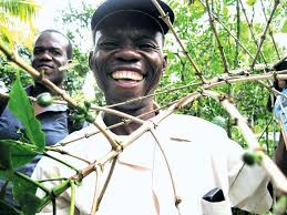 Change is Brewing for Haitian Coffee Farmers