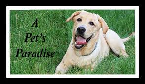 Get directions, reviews and information for happy tailz grooming in hahira, ga. Best Dog Kennel Dog Boarding Tallahassee Fl