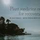 Plant medicine for recovery retreat in Guatemala event image