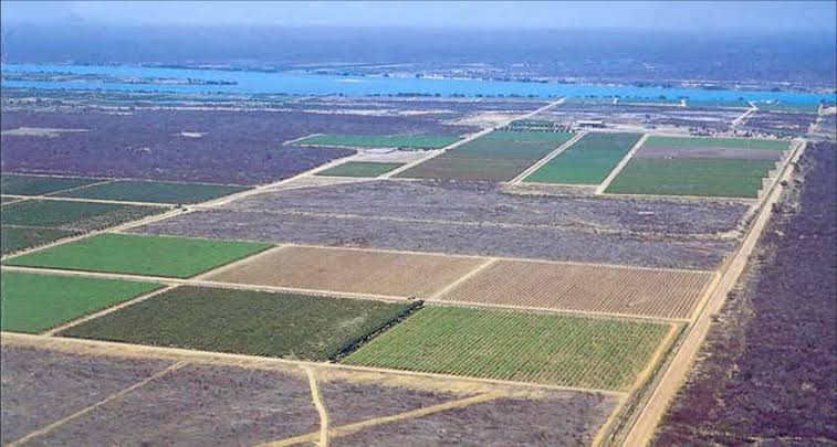 Produção de frutas do São Francisco no alvo de multinacional alemã | Blog  do Carlos Britto