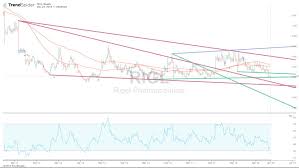 Rigel Pharmaceuticals My First Buy In 2019 Rigel