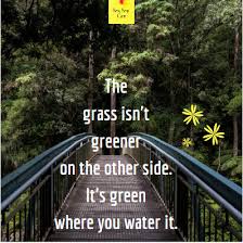 The Grass Is Always Greener On The Other Side Meaning In Urdu The Grass Isn T Greener On The Other Side It S Green Where You Water I Inspirational Thoughts The Other Side Inspirational Quotes