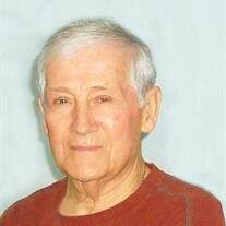 Joseph A. Sereg Obituary