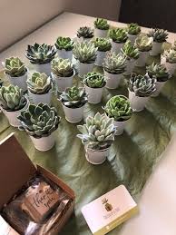 12 Succulent Wedding Favors Spring Wedding Etsy In 2020 Wedding Favors Fall Succulent Party Favors Succulent Wedding Favors