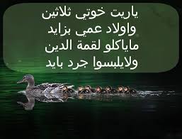 يا ريت خوتي ثلاتين واولاد عمي بزايد ماياكلوا لقمة الدين ولا يلبسوا جرد بايد أمثال ليبية Movie Posters Libya Movies
