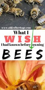 7 Things I Wish I Had Known Before Owning Bees A Life Of Heritage Bee Keeping Bee Backyard Bee