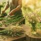 “Blooms & Bouquets”- Flower Arranging from Your Garden – $55