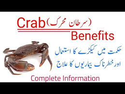 Why is fish halal without zabiha? Crabs Benefits Uses In Ayurvedic Medicines By Daily Health Tips