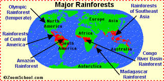 Large swaths of tropical rainforest are also located in southeast asia. Where Are Rainforests Enchantedlearning Com
