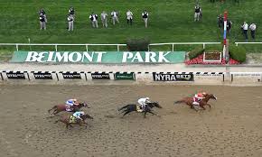 One horse key to pace scenario. 2020 Belmont Stakes Picks Odds And Post Positions May 2021
