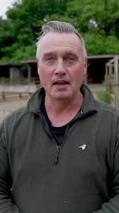 Meet Sapphire the Shire Horse at Farmer Dave's Farm