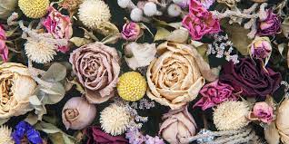 Every single gel bead contains millions of surface pores that magically soak up water vapor. How To Dry Flowers 3 Easy Methods And Care Tips