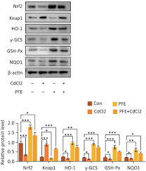 Finally,the polarising power and hence the covalent character increases down the group. Scielo Brasil Protective Roles Of I Pyracantha Fortuneana I Extract On Acute Renal Toxicity Induced By Cadmium Chloride In Rats Protective Roles Of I Pyracantha Fortuneana I Extract On Acute Renal Toxicity Induced By