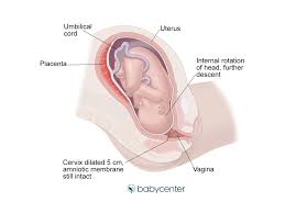 What Are The Stages Of Labor And Delivery Babycenter