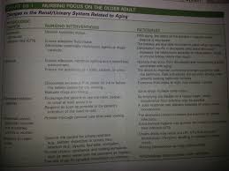 Renal Urinary Assessment Flashcards Quizlet