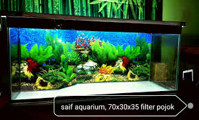 Download 46 aquarium free 3d models, available in max, obj, fbx, 3ds, c4d file formats, ready free 3d aquarium models available for download. Saif Aquarium Home Facebook