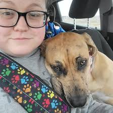 Help Me Give My Pooch A Good Registered Name! : r/greatdanes
